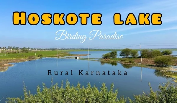 Hoskote Lake