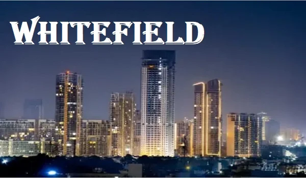 Whitefield